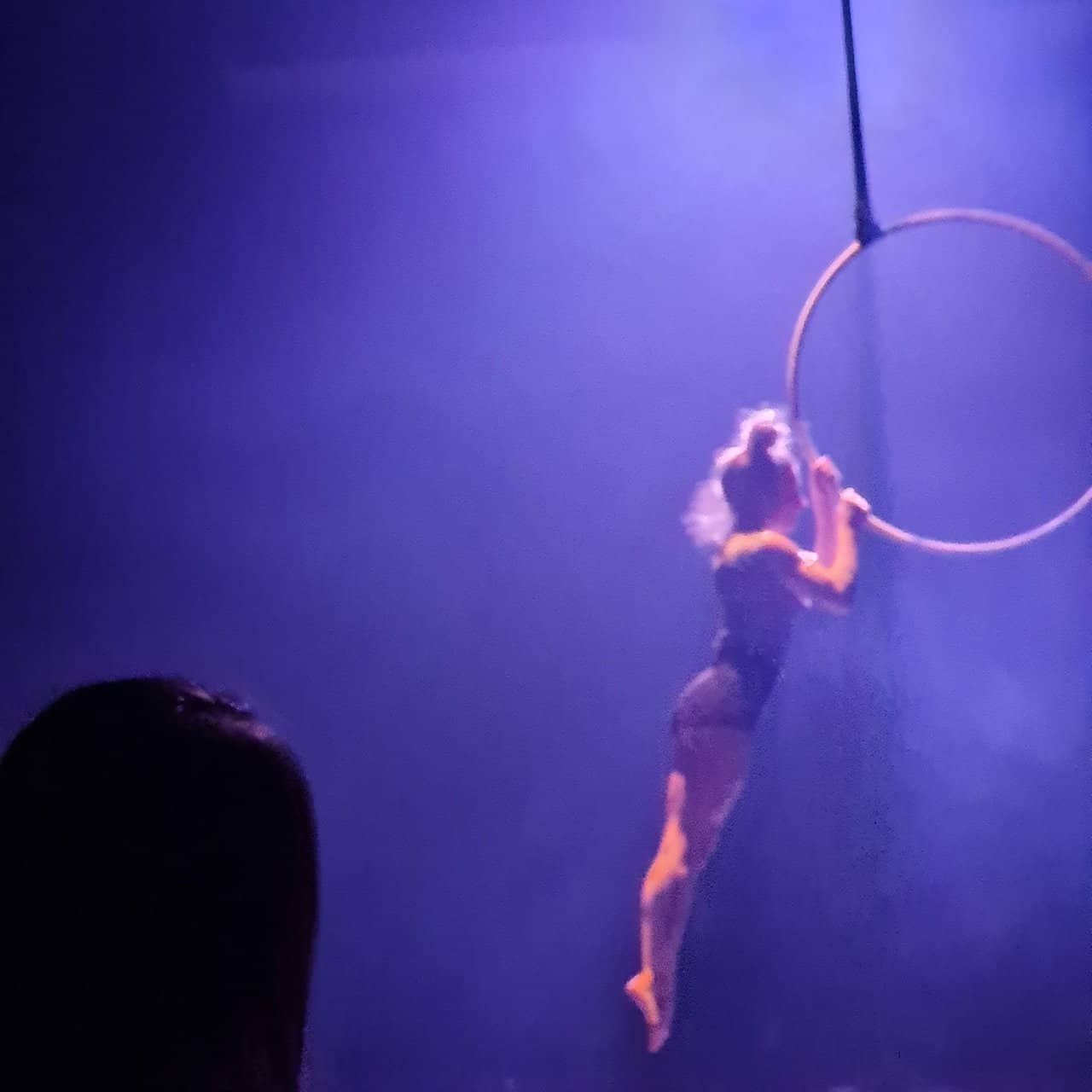 Seeing a circus show in thessaloniki, greece. “gelsomina dreams” 38 » 2026 » roaming sparrow 1 (17).jpg