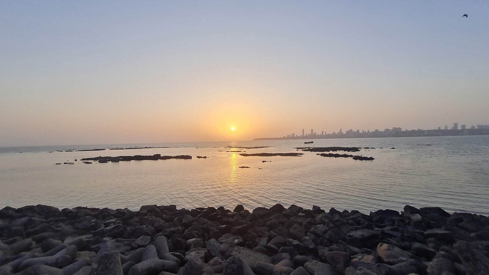 A week in mumbai: stuck waiting on a broken fax 11 » 2026 » roaming sparrow A Week in Mumbai: Stuck Waiting on a Broken Fax