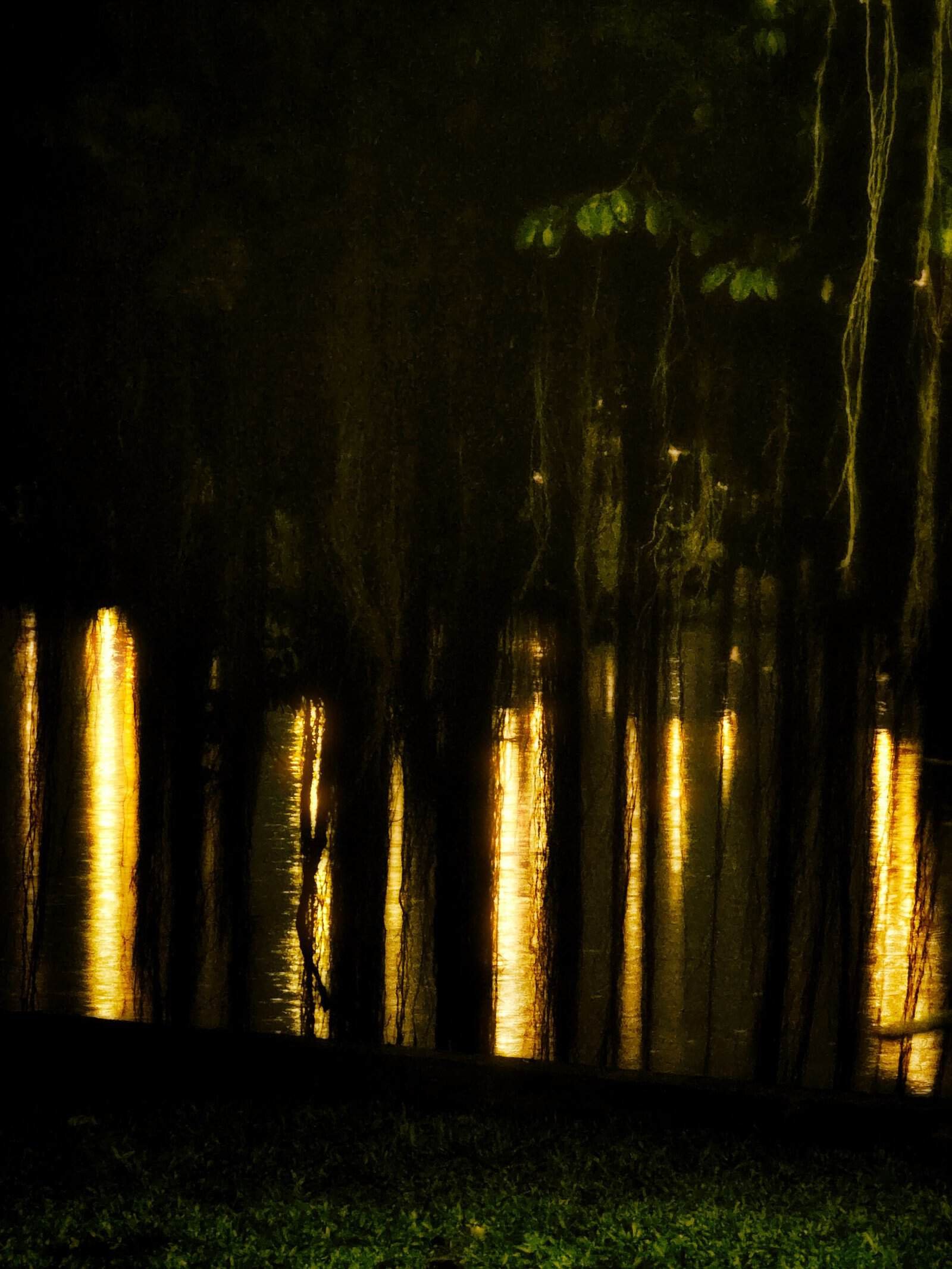 String lights reflected in the Siem Reap River at night after rain