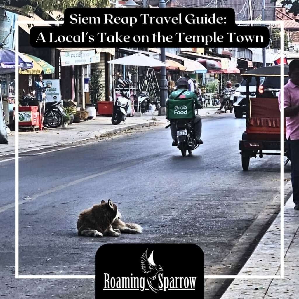Siem Reap Travel Guide: A Local's Take on the Temple Town