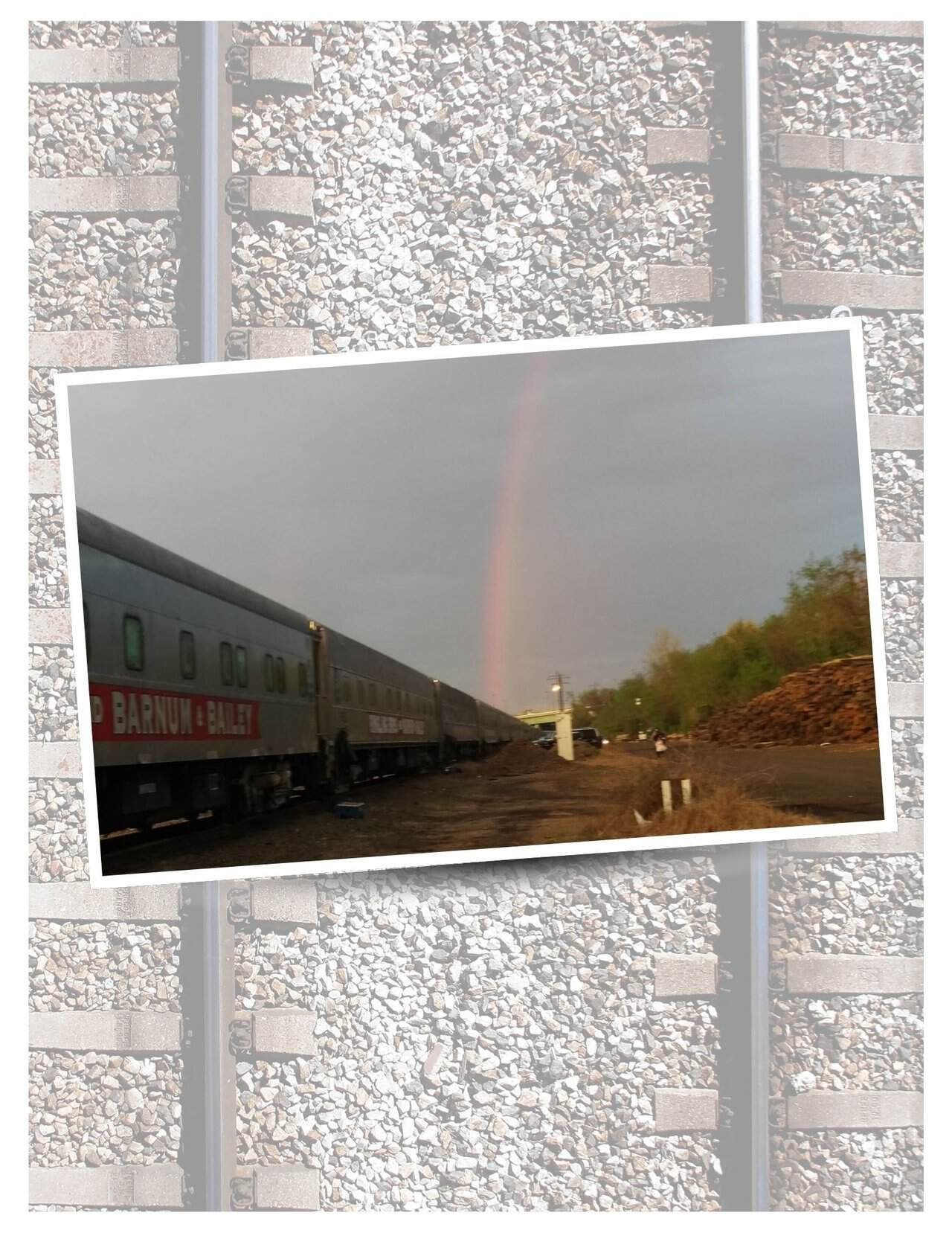 The last train: inside ringling brothers final tour - a circus memoir 12 » 2026 » roaming sparrow The Last Train: Inside Ringling Brothers Final Tour - A Circus Memoir