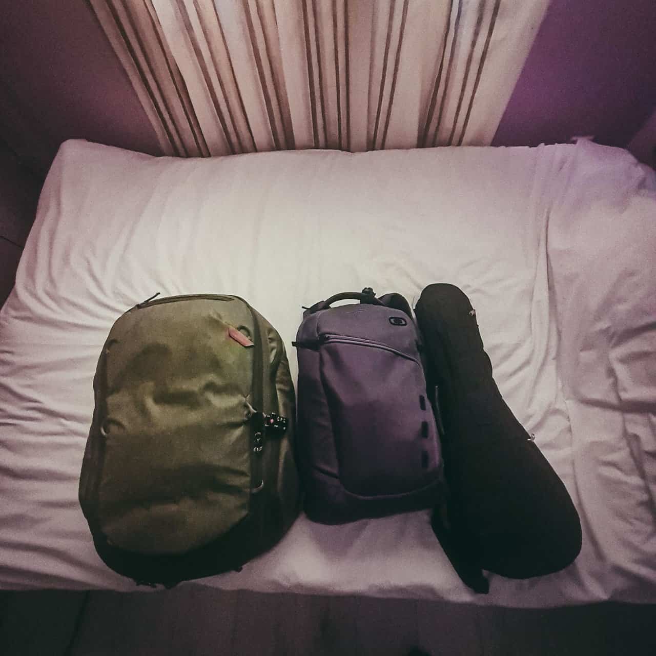 Travel day from greece to india 34 » 2026 » roaming sparrow 1 (1).jpg