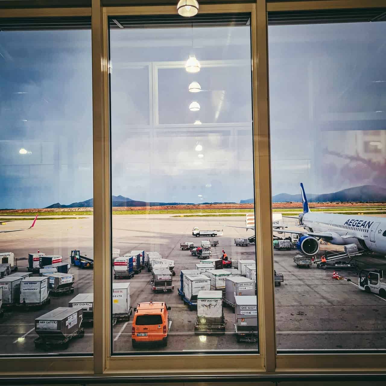 Travel day from greece to india 43 » 2026 » roaming sparrow 1 (17).jpg