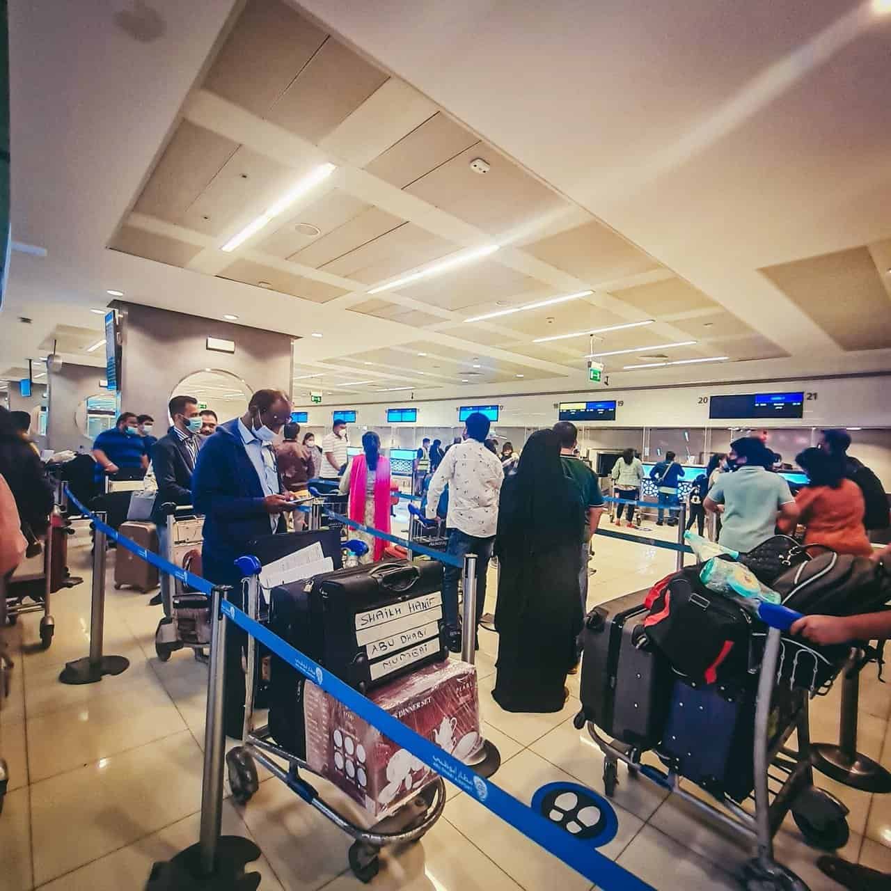 Travel day from greece to india 46 » 2026 » roaming sparrow 1 (22).jpg