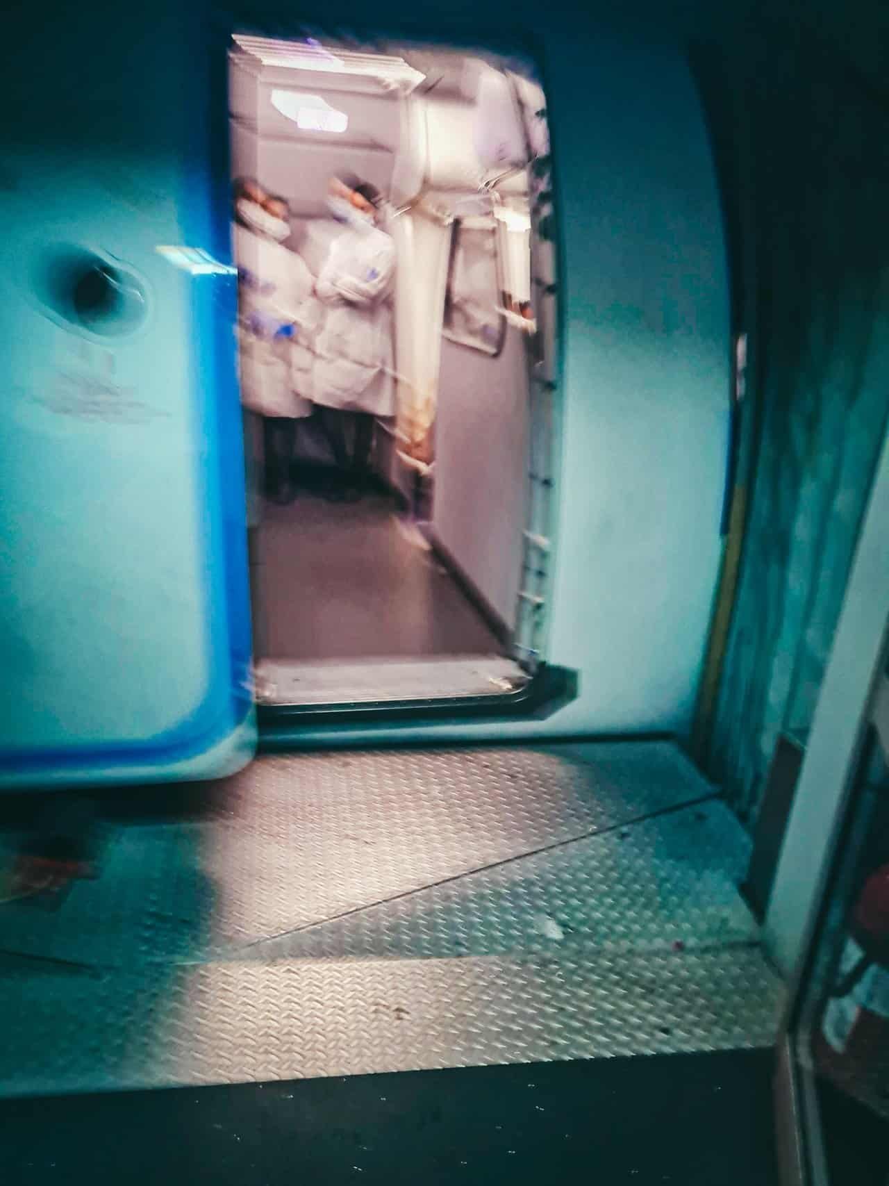 Travel day from greece to india 47 » 2026 » roaming sparrow 1 (23).jpg