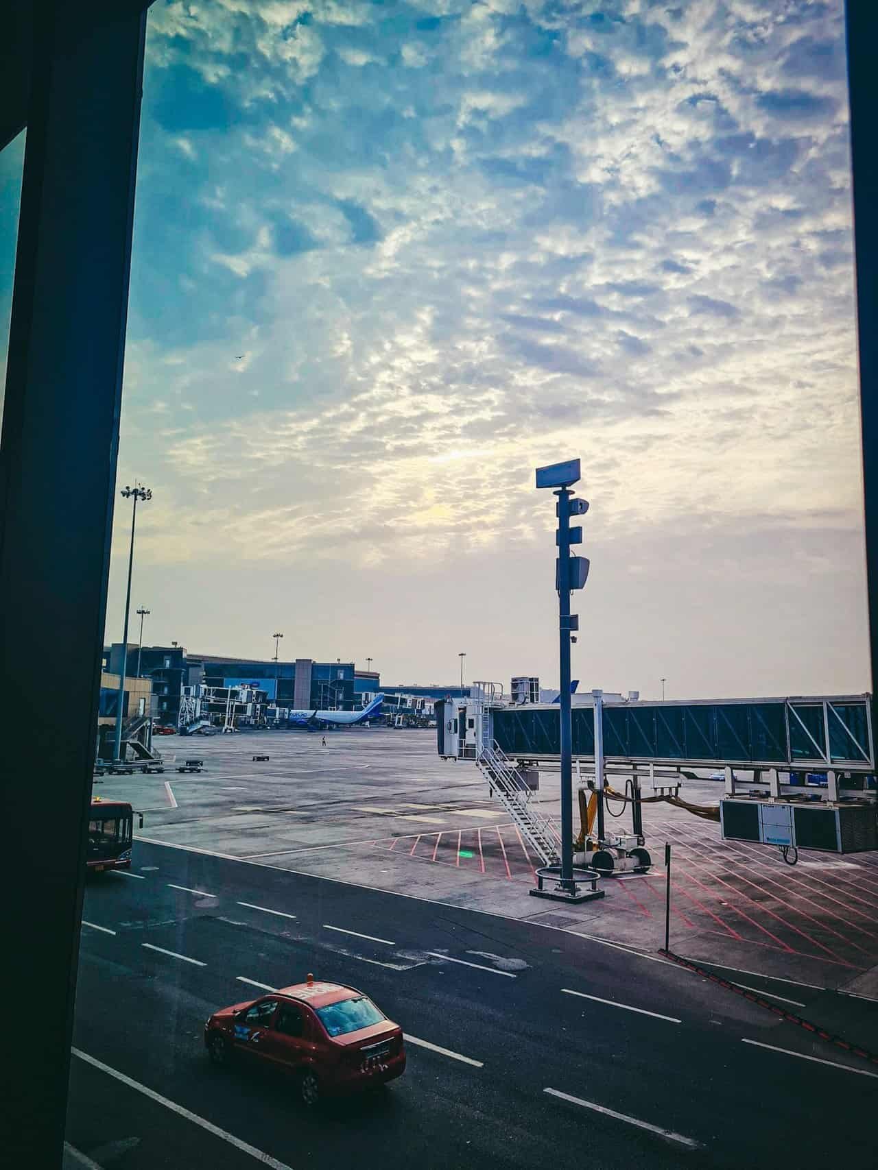 Travel day from greece to india 49 » 2026 » roaming sparrow 1 (26).jpg