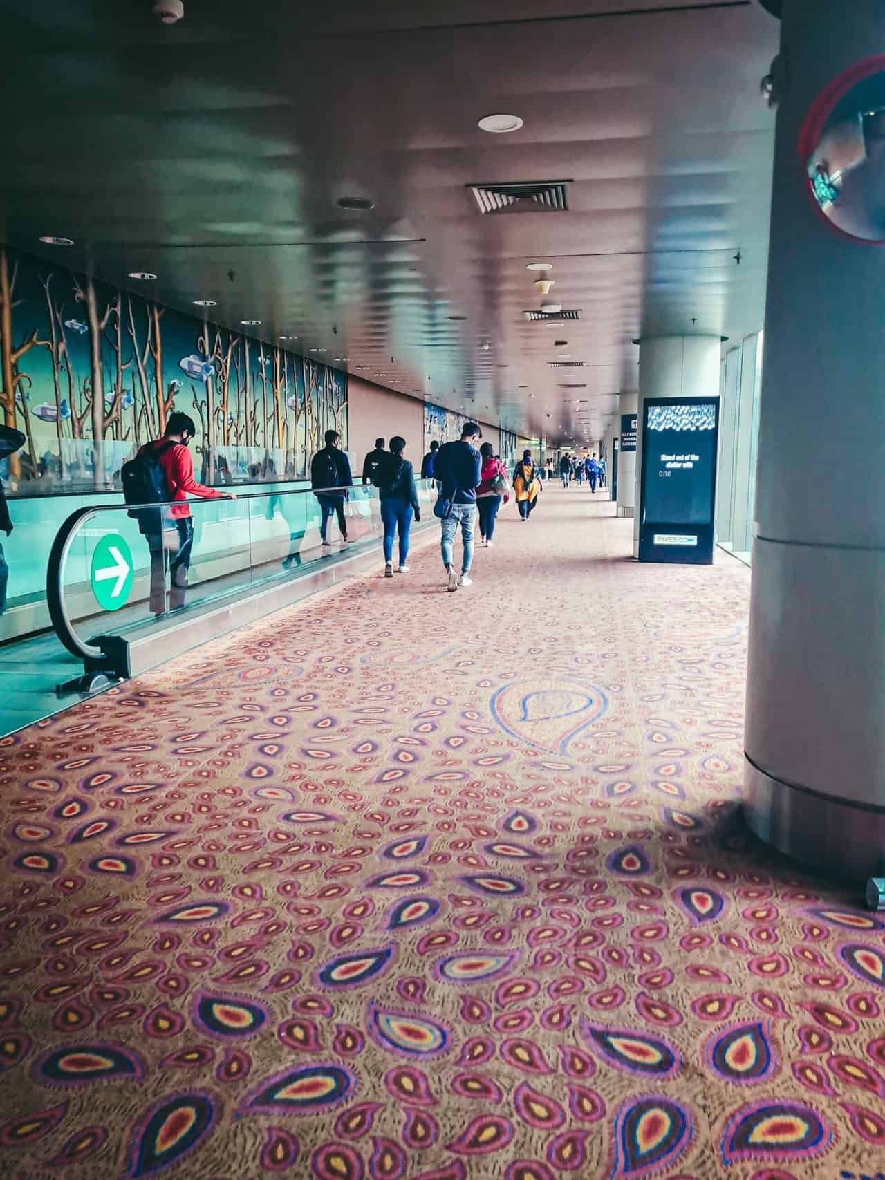 Travel day from greece to india 50 » 2026 » roaming sparrow 1 (27).jpg