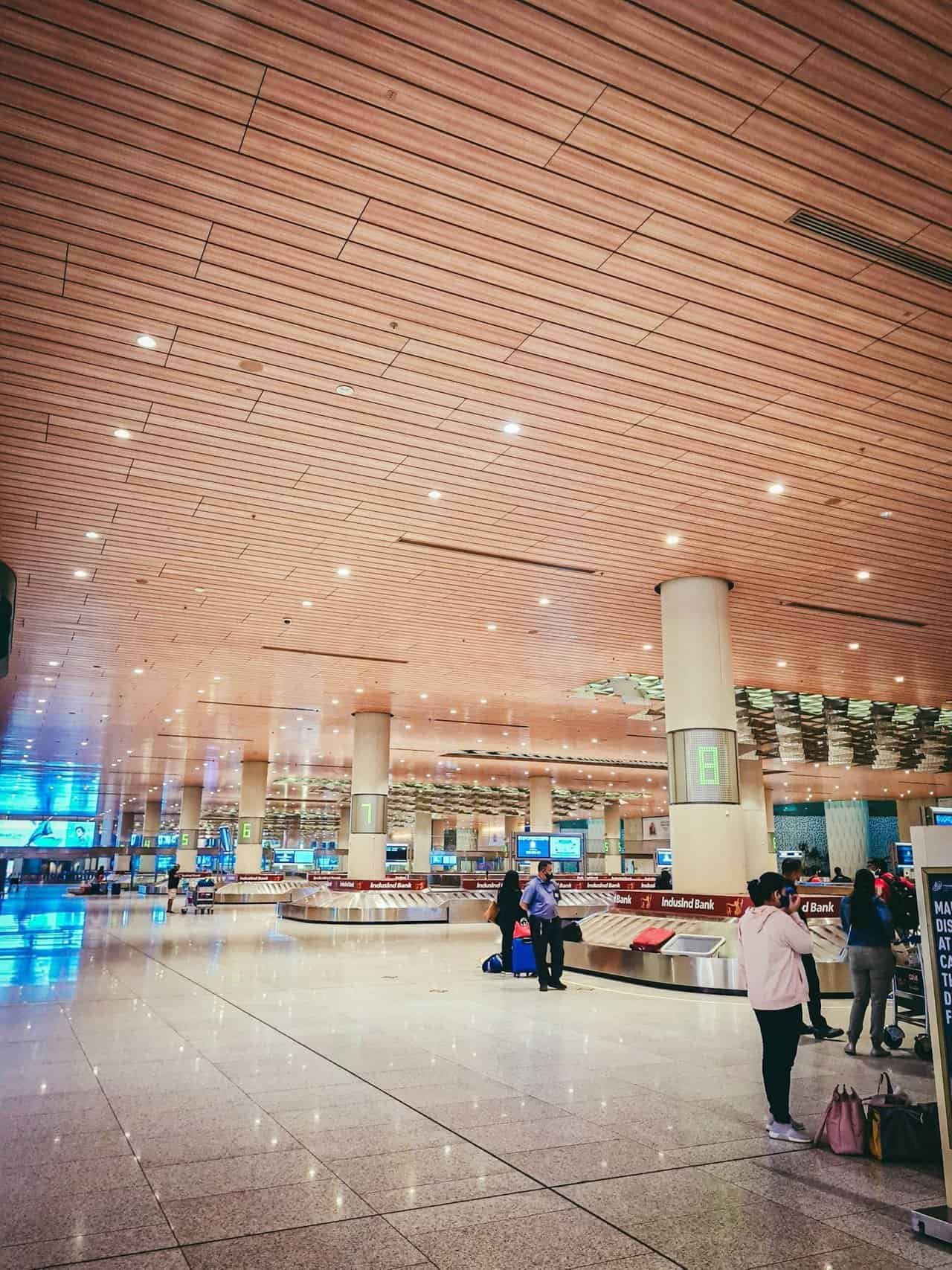 Travel day from greece to india 51 » 2026 » roaming sparrow 1 (28).jpg