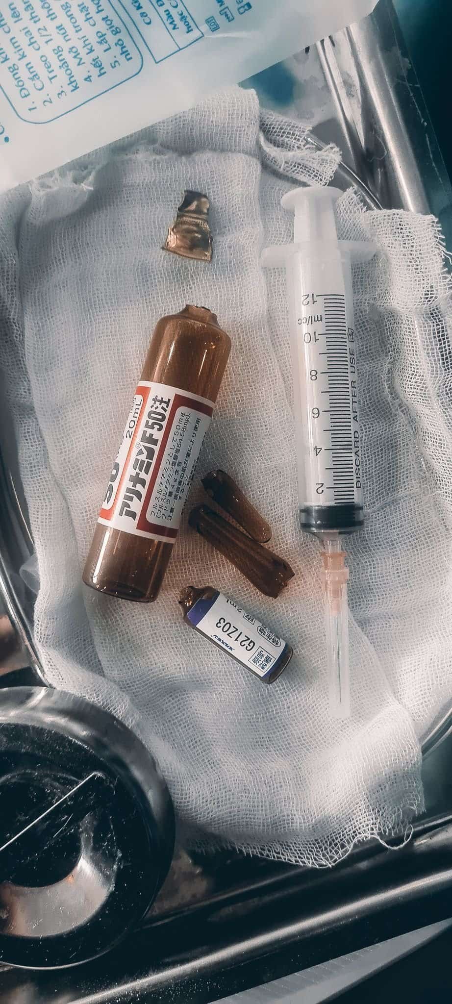 What is stem cell treatment and how can it help you in your journey to healthier living? 14 » 2026 » roaming sparrow 20221008_140109.jpg