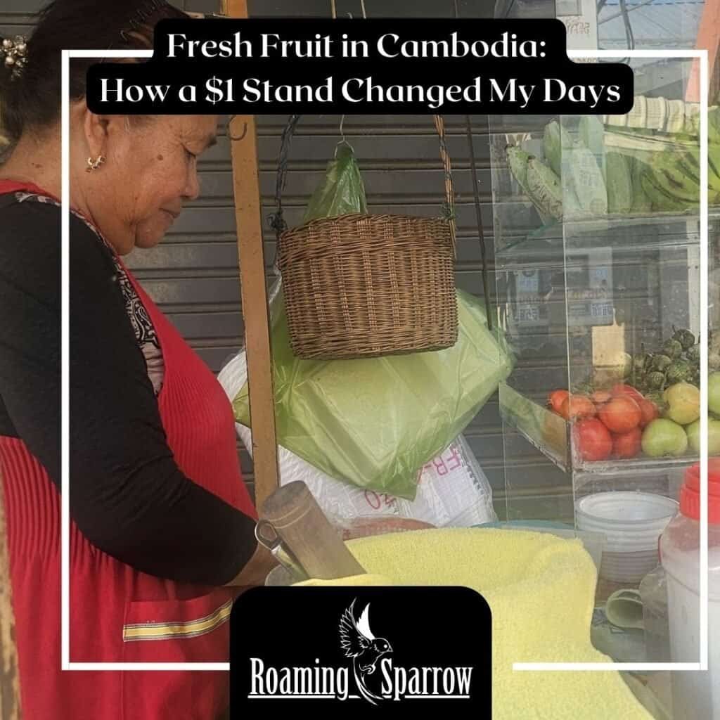 Fresh Fruit in Cambodia: How a $1 Stand Changed My Days
