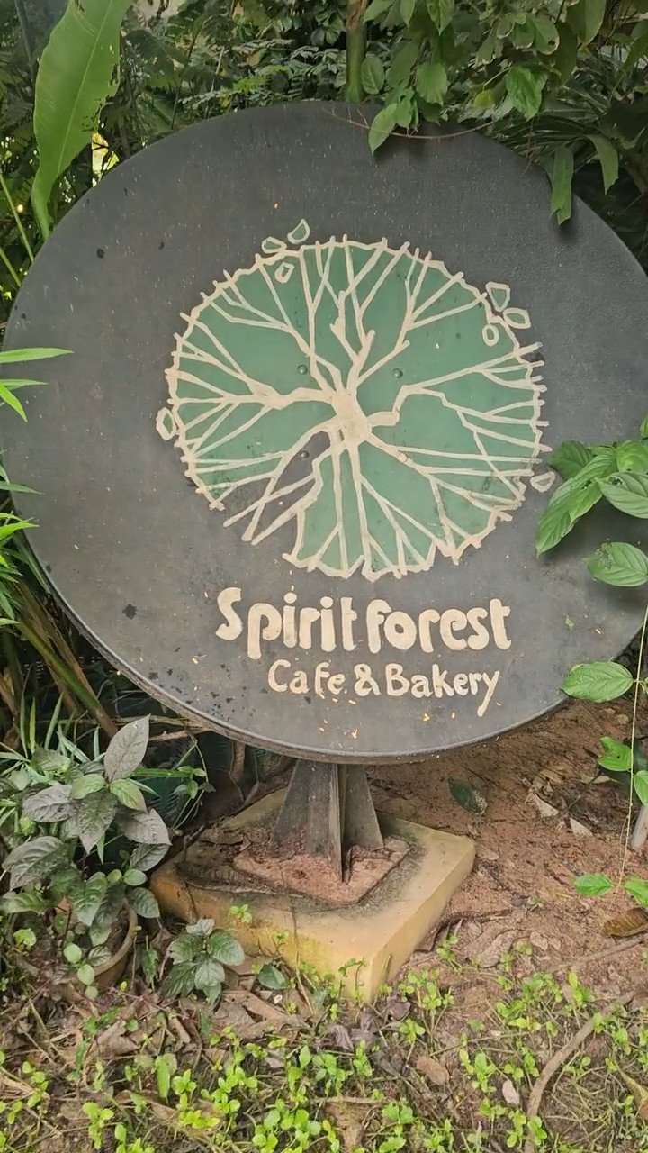 Spirit forest cafe: 1 epic kimono sunday in siem reap 1 » 2026 » roaming sparrow Spirit Forest Cafe: 1 Epic Kimono Sunday in Siem Reap